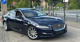 Jaguar XJ Premium Luxury Lang - Jaguar XJ aus 2017