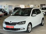 Skoda Fabia 1.2 TSI DSG *SHZ*PAN*CarPlay*TEM*PDC* - Skoda Fabia Gebrauchtwagen in Leipzig