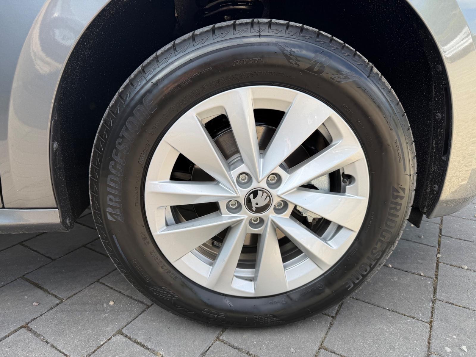 Skoda Kamiq Selection/AHK el./ALU/SHZ/249.- mtl