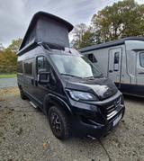 Carado pro CV 540 Schlafdach, in der Garantie