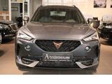 Cupra Formentor 4Drive LED*DSG*KLIMA*NAVI*ACC*ALU* - Cupra Formentor mit Diesel-Antrieb: Automatik