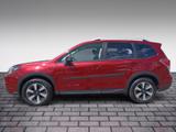Subaru Forester 2.0 Exclusive KLIMA SHZ KAMERA LED - Subaru Forester Gebrauchtwagen