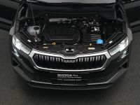 Skoda Karoq - Vorschau Bild 29