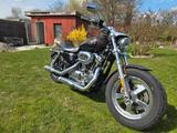 Harley-Davidson Sportster 1200 Kesstech Umbau - HARLEY-DAVIDSON SPORTSTER UMBAU