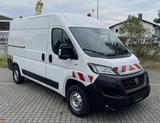 Fiat Ducato L2H2 WÜRTH Regale Klima Navi Kam PDC 1.HD - Fiat Ducato Gebrauchtwagen in Frankfurt