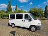 Peugeot Boxer - HU Neu, geringer KM Stand - Peugeot aus 1998