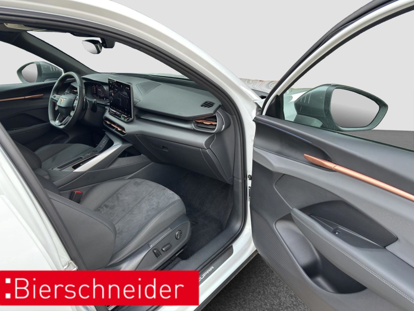 Cupra Terramar - Bild 34