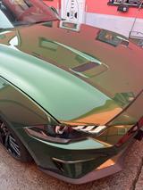 Ford Mustang GT 5.0 Ti-VCT V8 B&O PERFORMANCE PAKET - Ford Mustang in Mainz