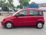 Fiat Panda 1.2 8V Classic - Fiat Panda in Lübeck