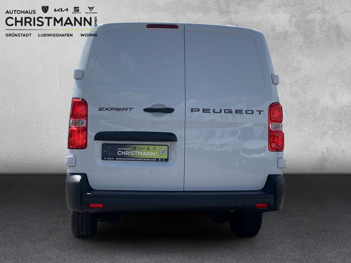 Fahrzeugabbildung Peugeot Expert Peugeot Kasten Lang 2.0 145PS *Kamera*Nav