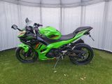 Kawasaki Ninja 500 SE - Angebote entsprechen deinen Suchkriterien