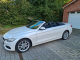 BMW 435d xDrive Cabrio Advantage - BMW 435 mit Diesel-Antrieb