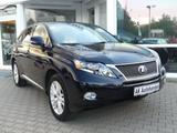 Lexus RX 450H AWD Xenon Kamera Volleder Navi Glasdach - Lexus RX-Serie Gebrauchtwagen