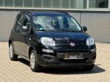 Fiat Panda Easy Klima TÜV/AU 07.2026 - Fiat Panda aus 2013