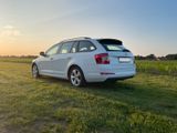 Skoda Octavia Greenline 1.6 TDI | AHK | 8x Alureifen  - Skoda Octavia: Greenline