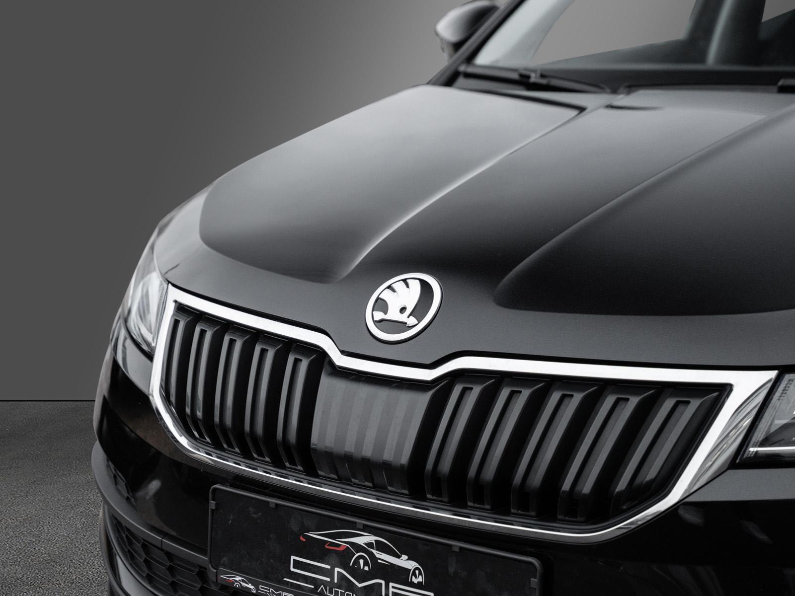 Skoda Karoq Style Business-Paket Amundsen LED SunSet, миниатюра 9