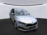 Skoda Octavia 2.0 TDI Style 4x4 LED|HuD|Business PLUS| - Skoda Octavia: Business