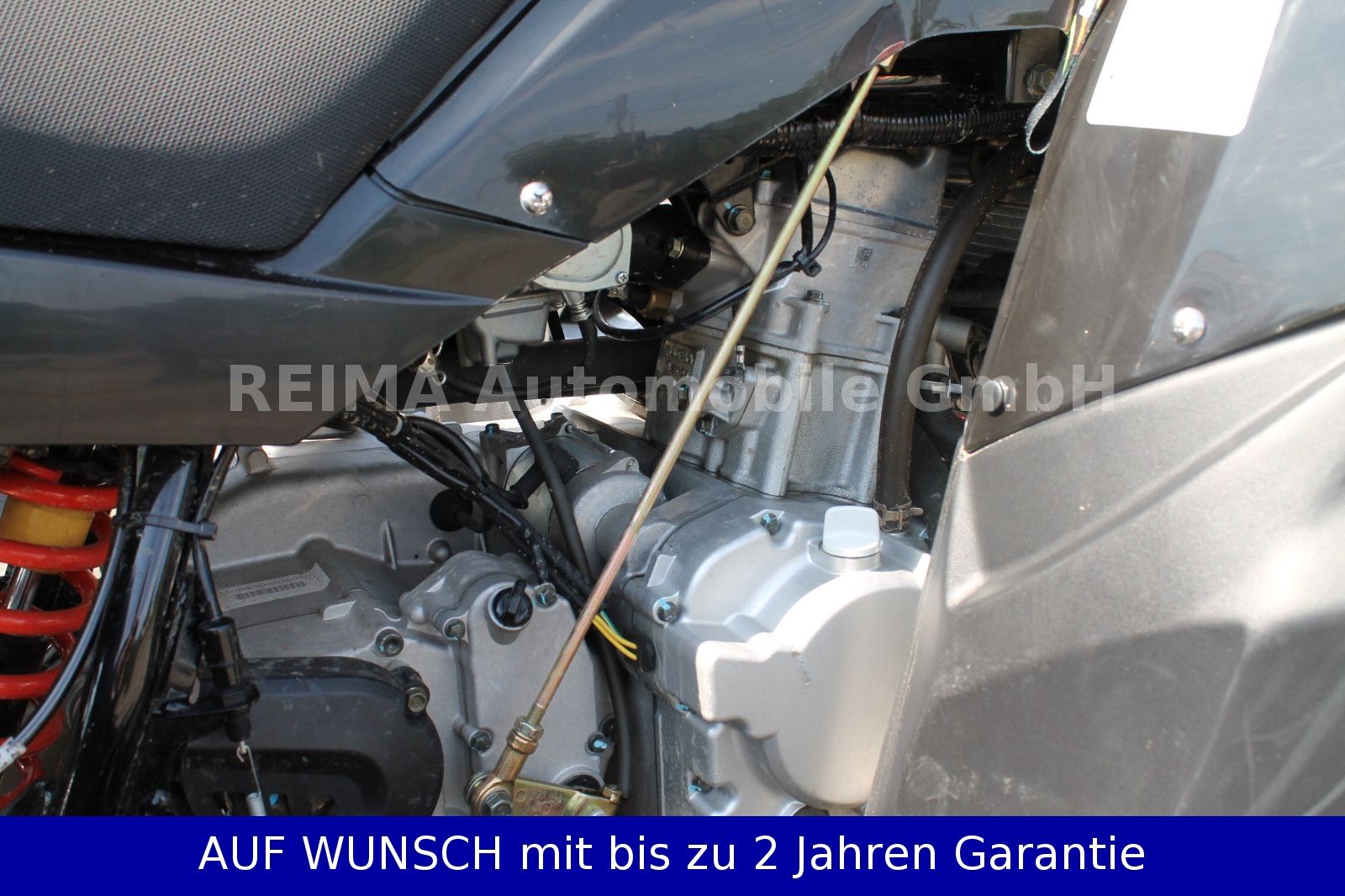Fahrzeugabbildung Access Motor XTREME 300 mit Lof Zulassung