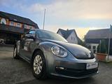 Volkswagen Beetle Lim. Basis BMT !! Top Zustand  - Garantie - Volkswagen Beetle: Sportwagen