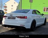 Audi S5 3.0 B&O*4xSHZ*Massage*HUD*Keyless*Carplay*360 - weiße Audi S5