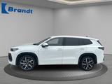 Volkswagen Tayron 2.0 TDI 4M+R-LINE+MATRIX+PANO+HUD+STANDH. - weiße Volkswagen Tayron