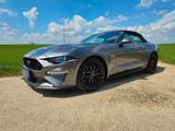 Ford Mustang 5.0 Ti-VCT V8 GT Auto GT, Garantie