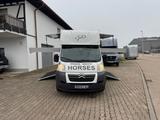 Citroën Pferdetransporter 2 Seitenrampen 20.500KM - Tier- & Pferdetransport für 2 Pferde