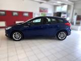 Ford Focus Lim. Business KAMERA SITZHEIZUNG- GARANTIE - Ford Focus: Business