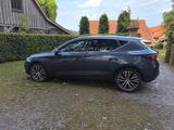 Seat Leon 1.4 e-HYBRID Xcellence DSG Xcellence - Seat Leon Xcellence mit Hybrid-Antrieb (Benzin/Elektro)