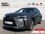 Lexus UX 300e Luxury HUD NAV MatrixLED Leder ACC ASSI - Lexus Elektroautos