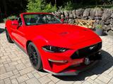 Ford Mustang GT 5.0 *Scheckheft*Unfallfrei*neuwertig*