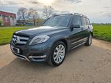 Mercedes-Benz GLK 220 CDI 4MATIC - - Mercedes-Benz GLK-Klasse in Stuttgart