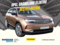 Opel Grandland (X) - Vorschau Bild 1