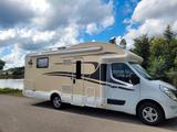 Ahorn Alaska TQ P - Angebote