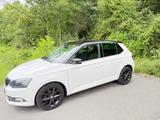 Skoda Fabia III (NJ3) 1,2 TSI 90 PS - Skoda Fabia: Ii