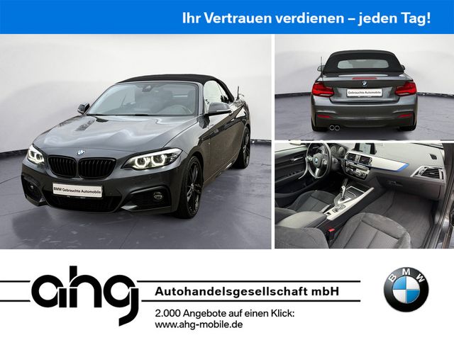 BMW 220i Cabrio M Sport Navi Klima PDC HiFi AHK Spor