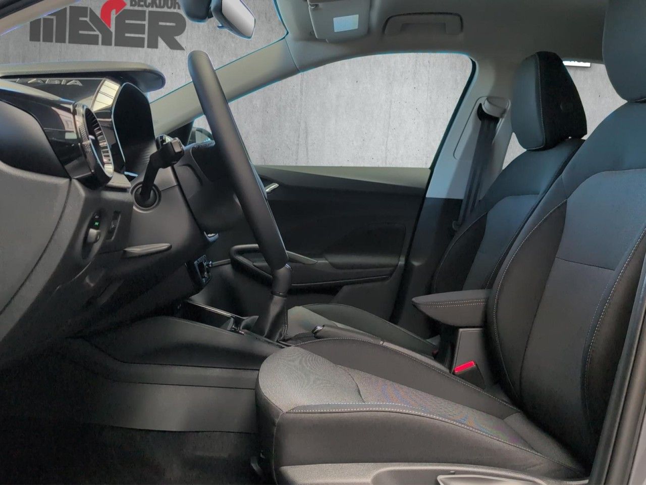 Fabia Selection 1.0 TSI Klima Einparkhilfe