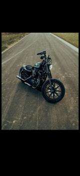 Harley-Davidson Iron 1200 5HD / Sportster sehr gepflegt, TÜV neu - Harley-Davidson Iron 1200