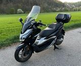 Honda Forza 300 NSSA - HONDA FORZA 300