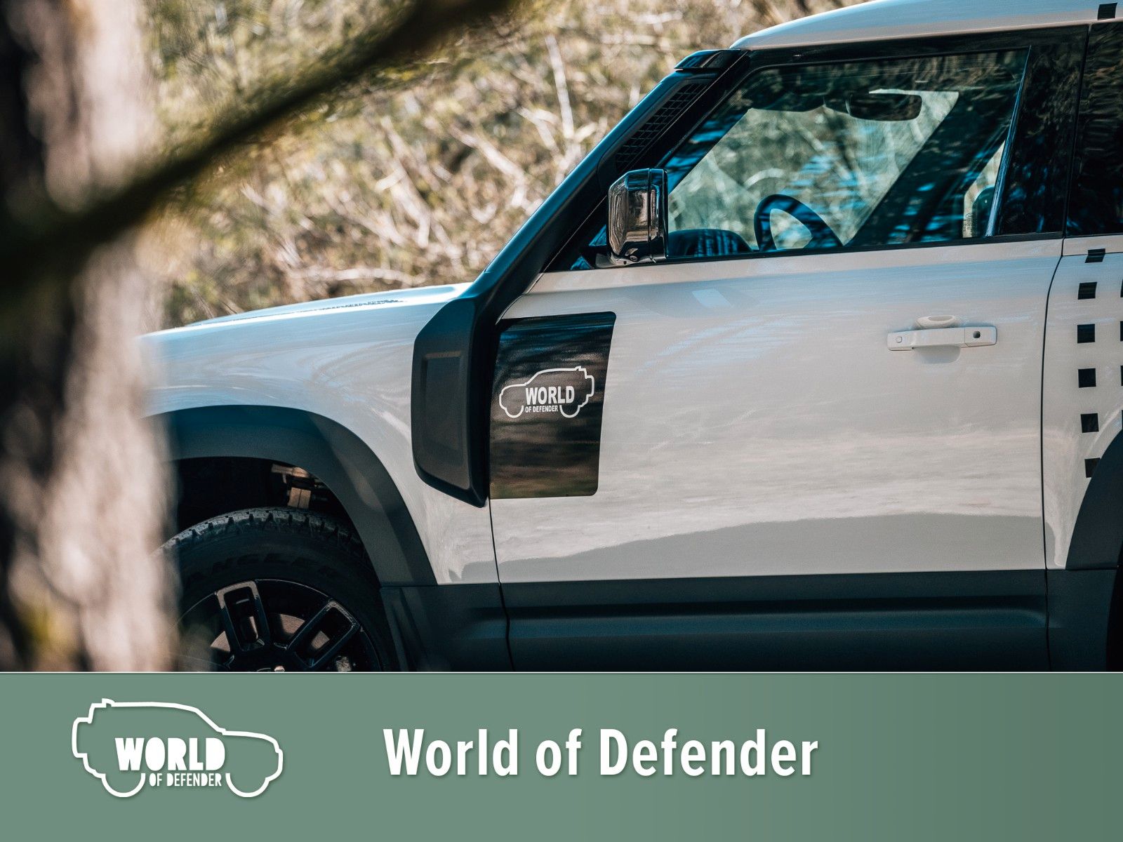 Fahrzeugabbildung Land Rover Defender 90 D250 S *Rally Series 2024*