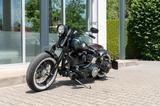 Harley-Davidson FXSTSI Softail - HARLEY-DAVIDSON FXSTS
