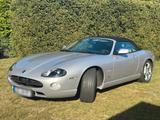 Jaguar XK8 Cabrio - Jaguar XK8 aus 2005