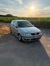Volkswagen Polo 6N2 1.4 TDI TÜV 03/28 DPF - Volkswagen Polo: 6n2 TDI