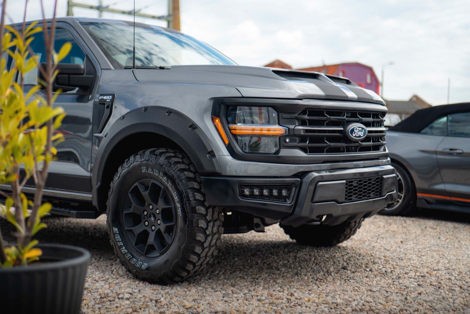 Fahrzeugabbildung Ford F150 5.0L V8 4x4 Offroad SuperCrew RAPTOR 19%