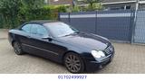 Mercedes-Benz CLK 240 ELEGANCE Gepflegter Zustand TÜV NEU - Mercedes-Benz CLK 240: Cabrio