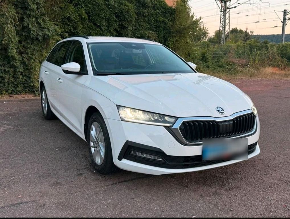 Image of Skoda Octavia