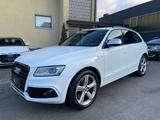 Audi SQ5 3.0 TDI competition quattro ACC/PANO/AHK - Audi SQ5 mit Panoramadach