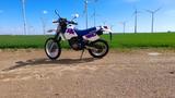 Suzuki DR 350 - Offers