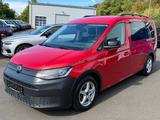 Volkswagen Caddy California Maxi DSG ACC AHK LED Kam Sthz - rote Volkswagen Caddy Maxi