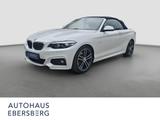 BMW 220i Cabrio M Sport open Air Business PDC
